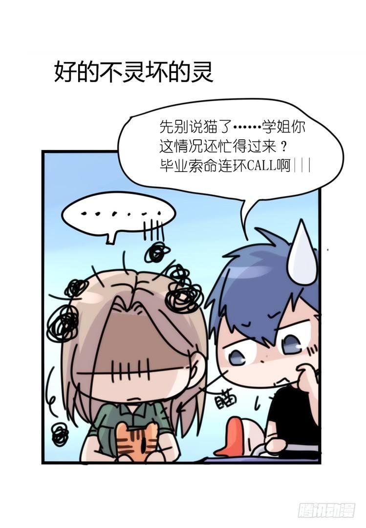 使命篇33：屋漏偏逢连夜雨