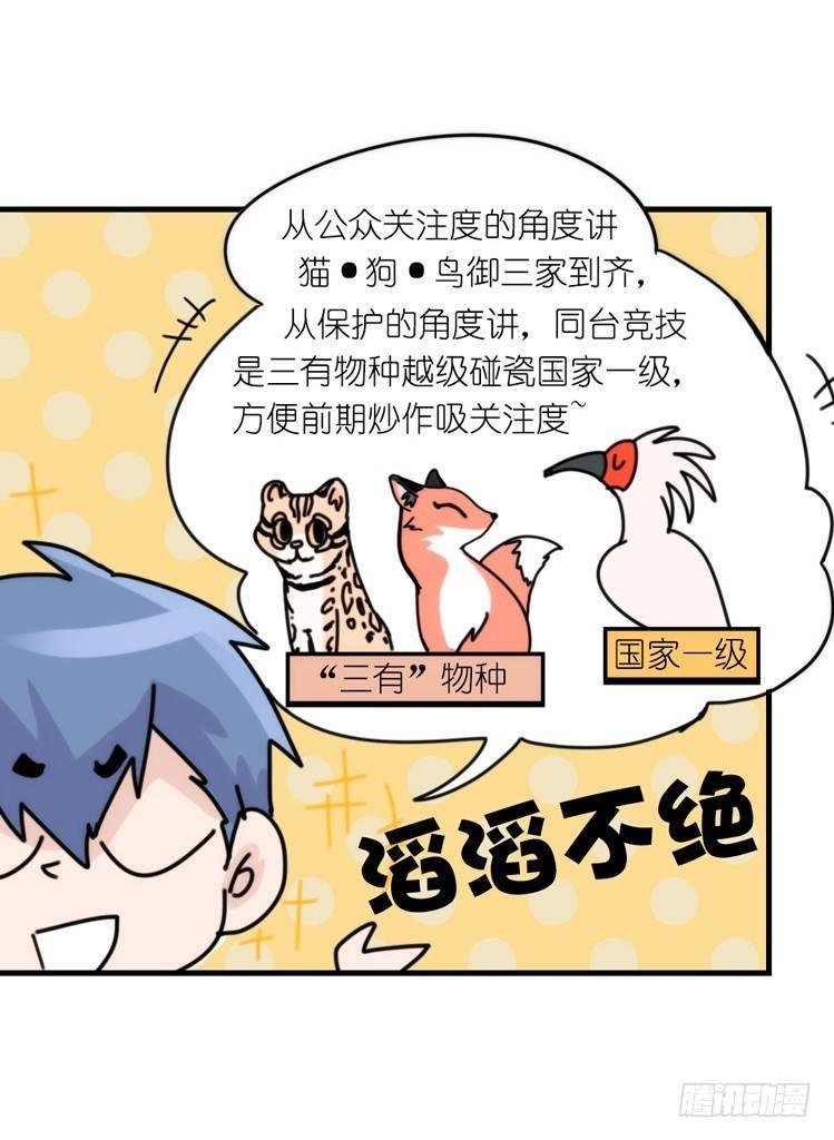 事业篇01：大戏开锣