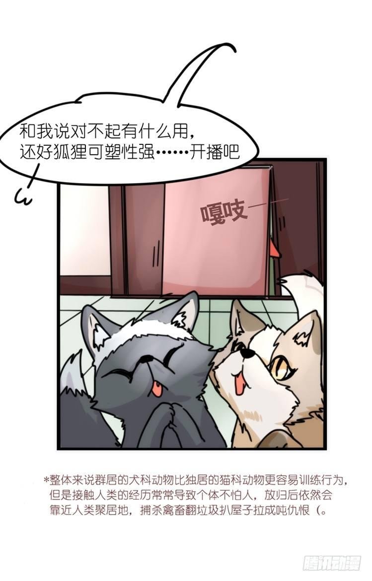 事业篇01：大戏开锣