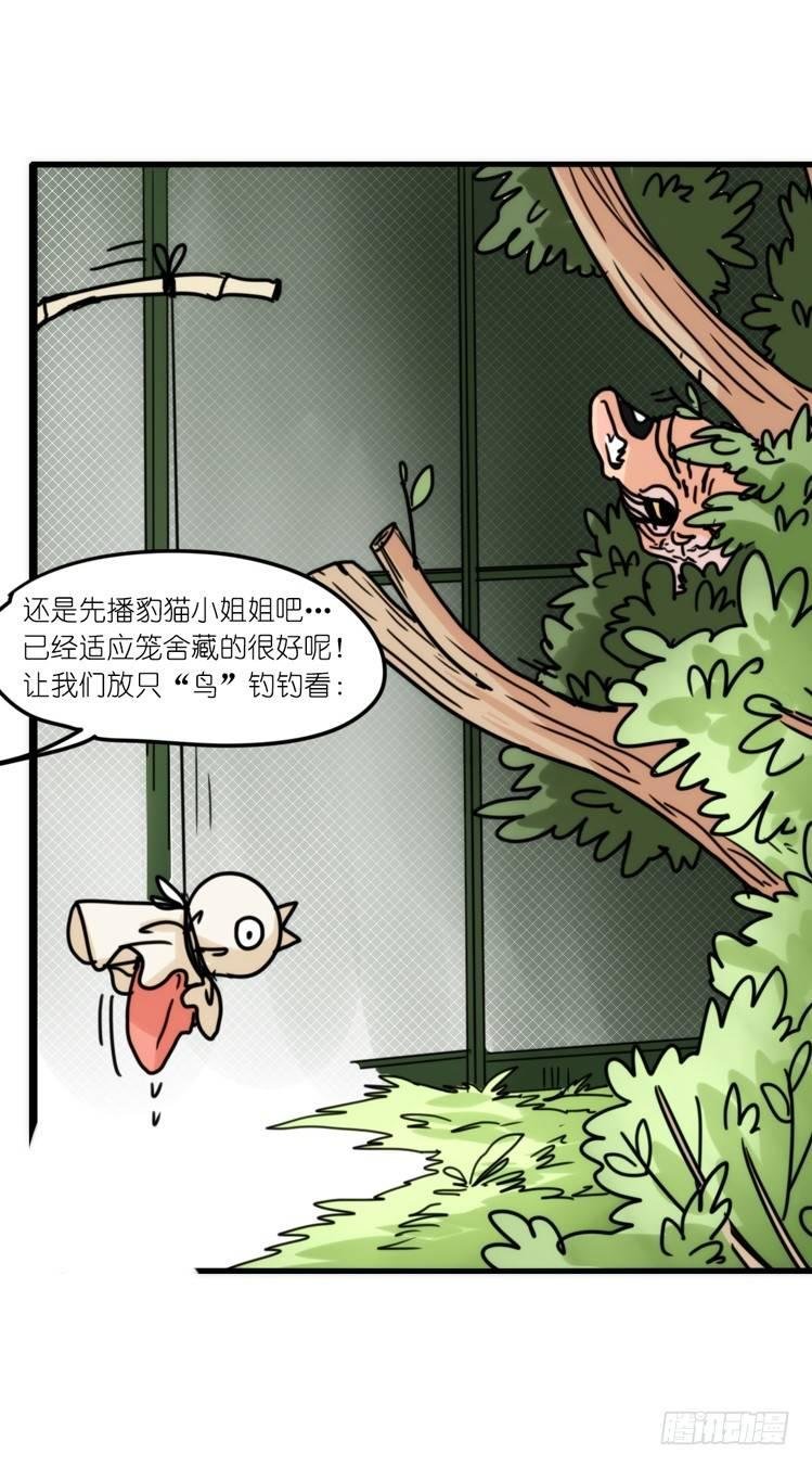 事业篇01：大戏开锣