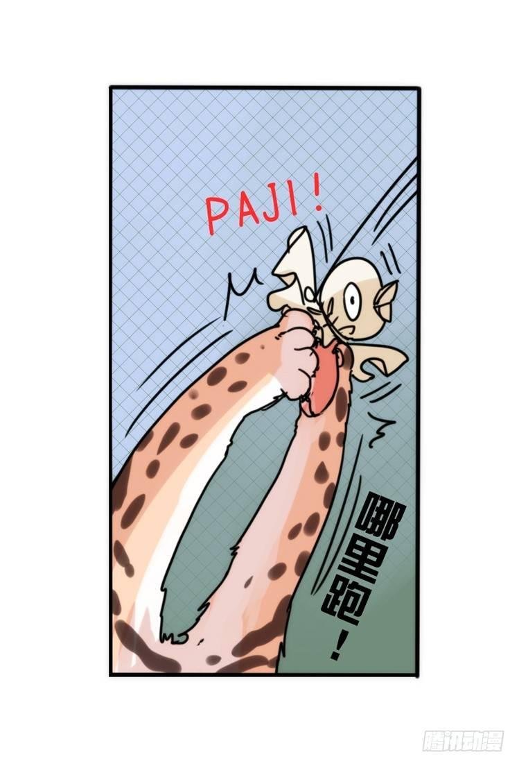 事业篇01：大戏开锣