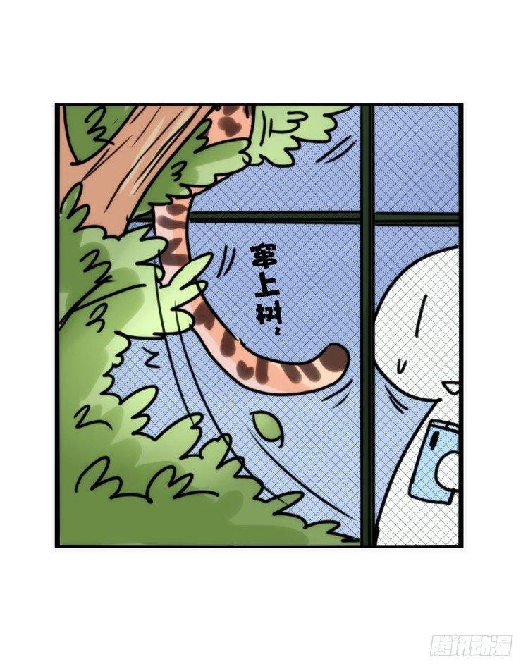 事业篇01：大戏开锣