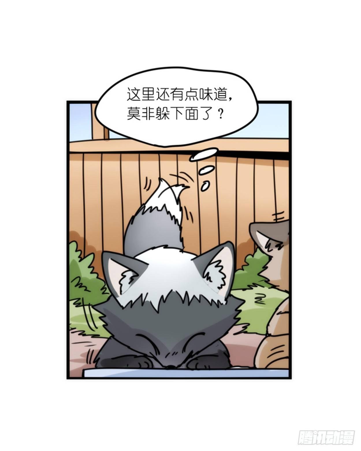事业篇02：起点低……进步大呀
