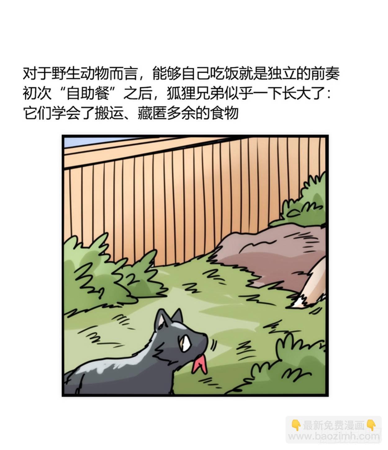 事业篇02：起点低……进步大呀