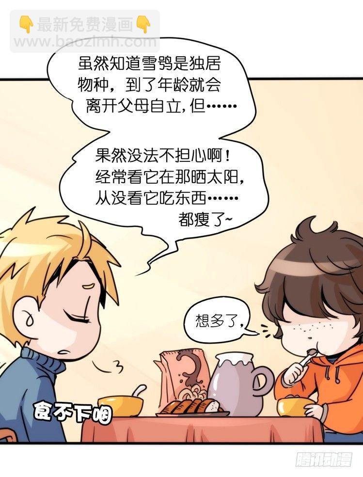 飞吧小少爷：超凶的！