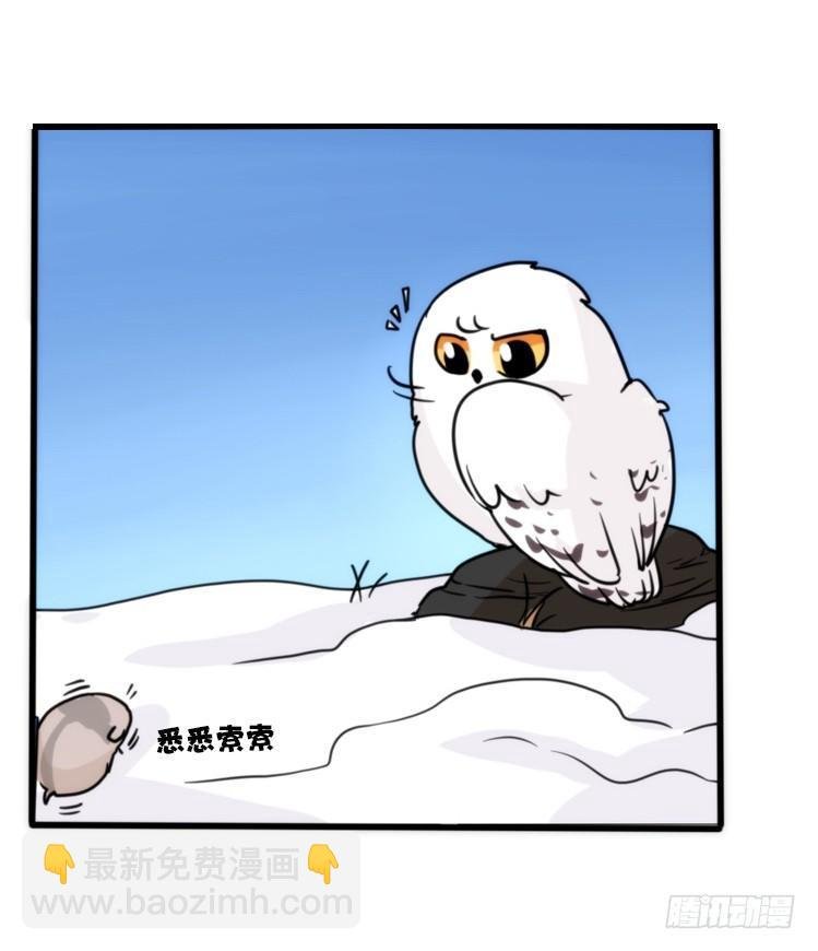 飞吧小少爷：超凶的！