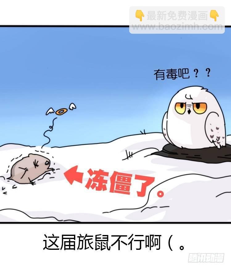 飞吧小少爷：超凶的！