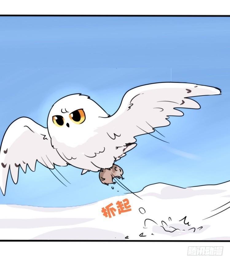 飞吧小少爷：超凶的！