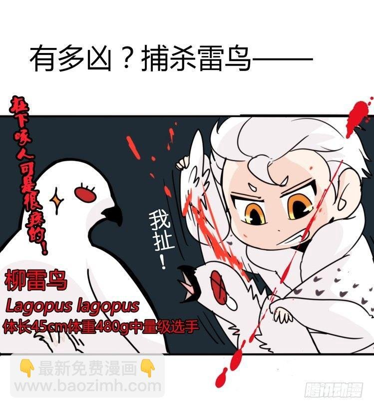 飞吧小少爷：超凶的！