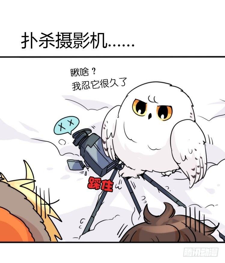 飞吧小少爷：超凶的！