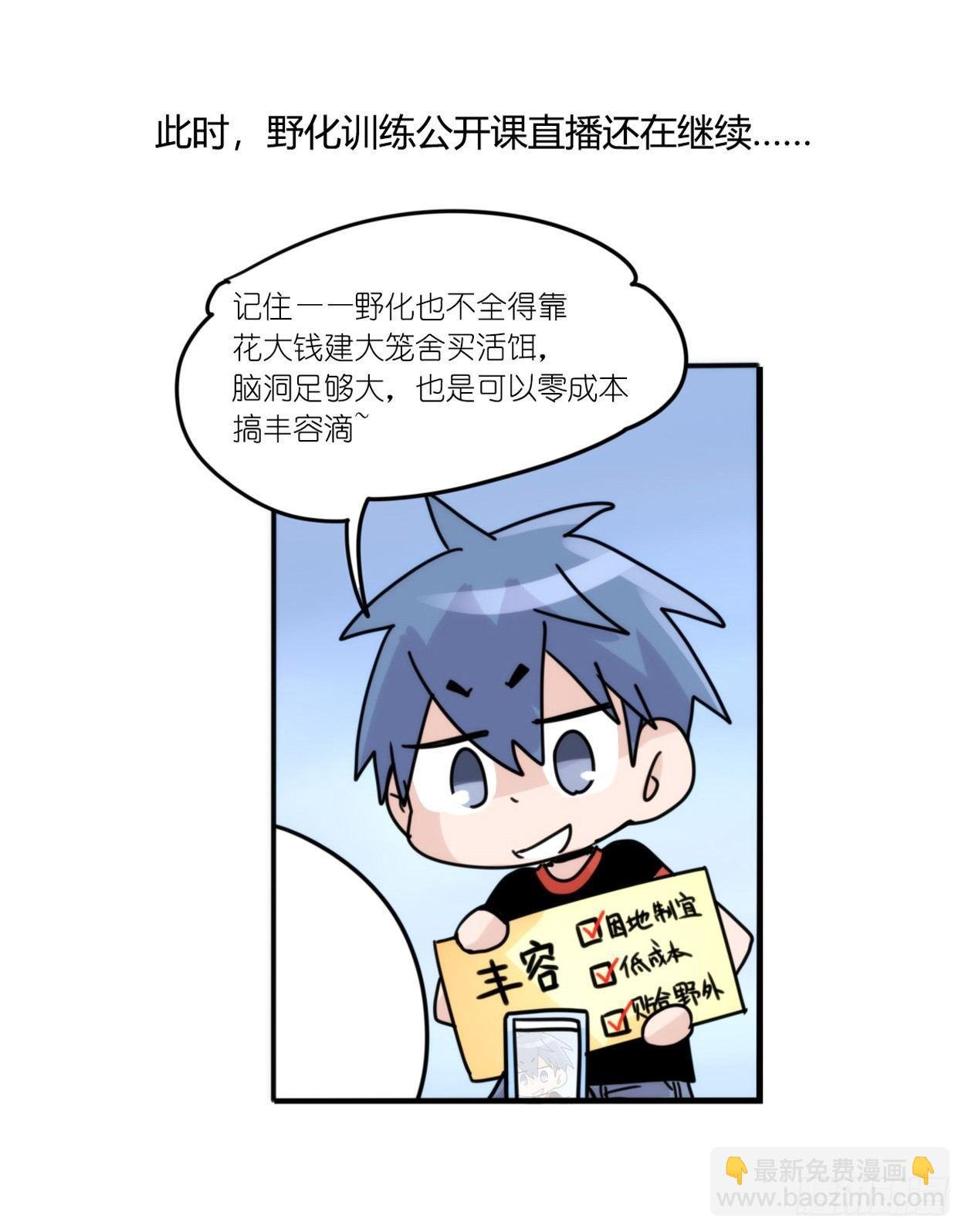 事业篇03：狐狐去哪儿了？