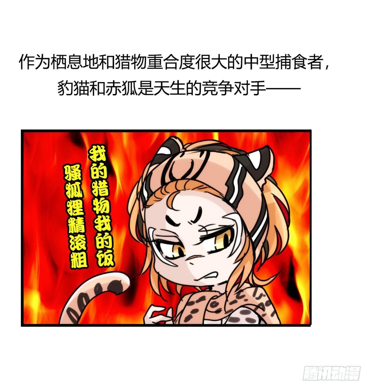 事业篇03：狐狐去哪儿了？