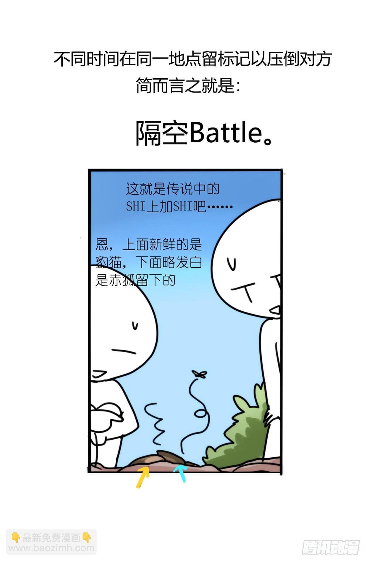 事业篇03：狐狐去哪儿了？