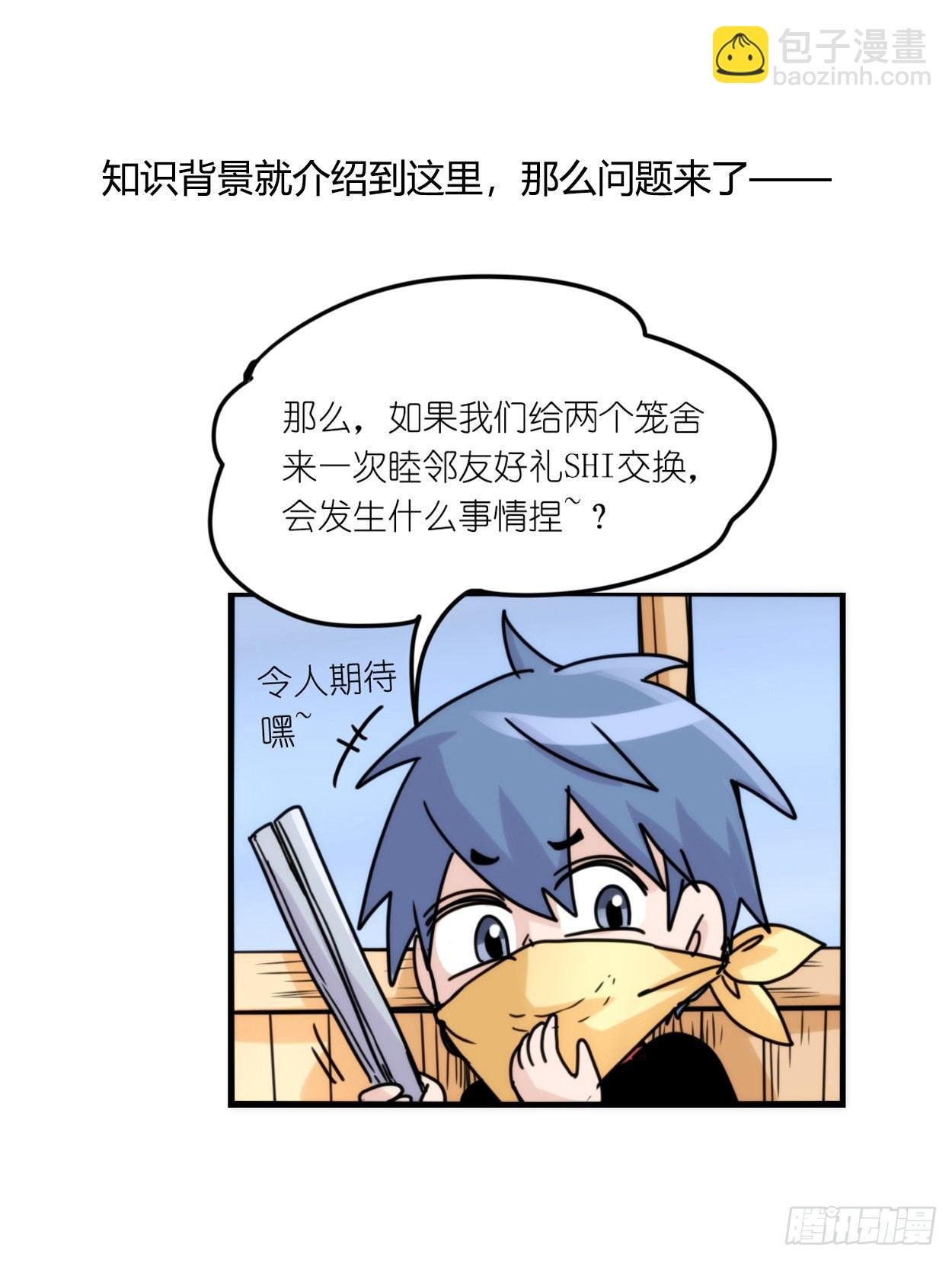 事业篇03：狐狐去哪儿了？