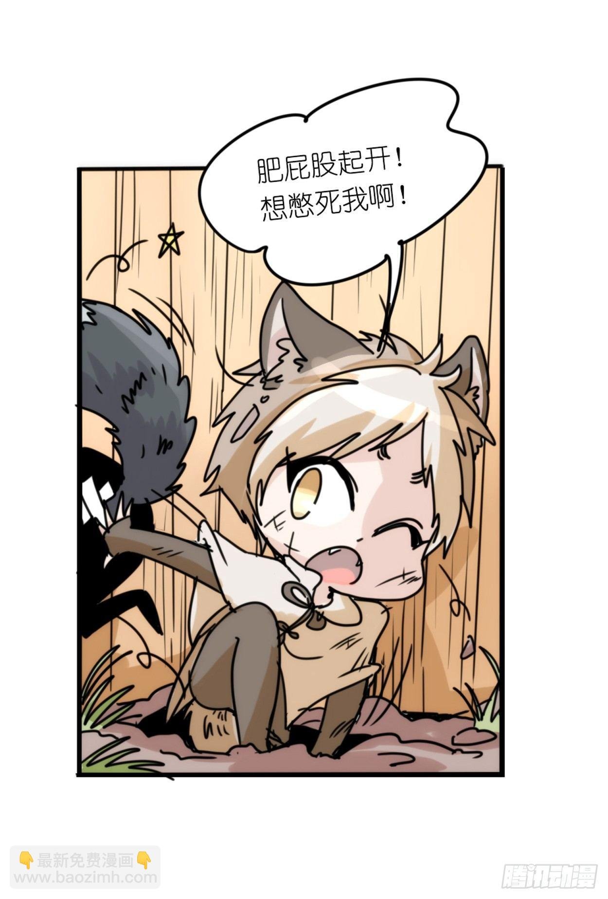 事业篇03：狐狐去哪儿了？