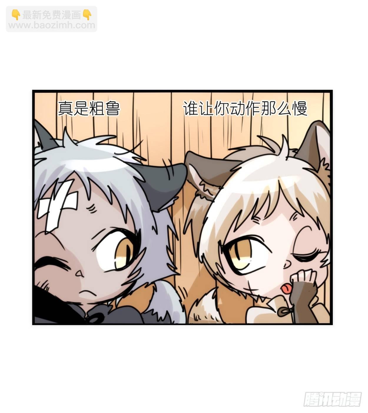 事业篇03：狐狐去哪儿了？
