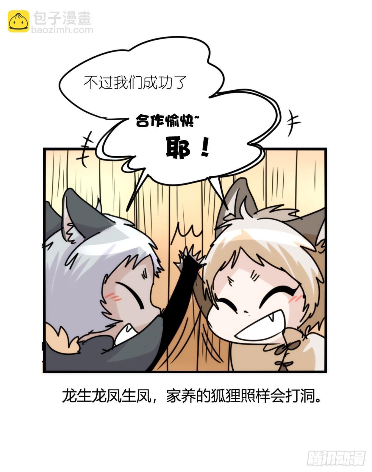 事业篇03：狐狐去哪儿了？