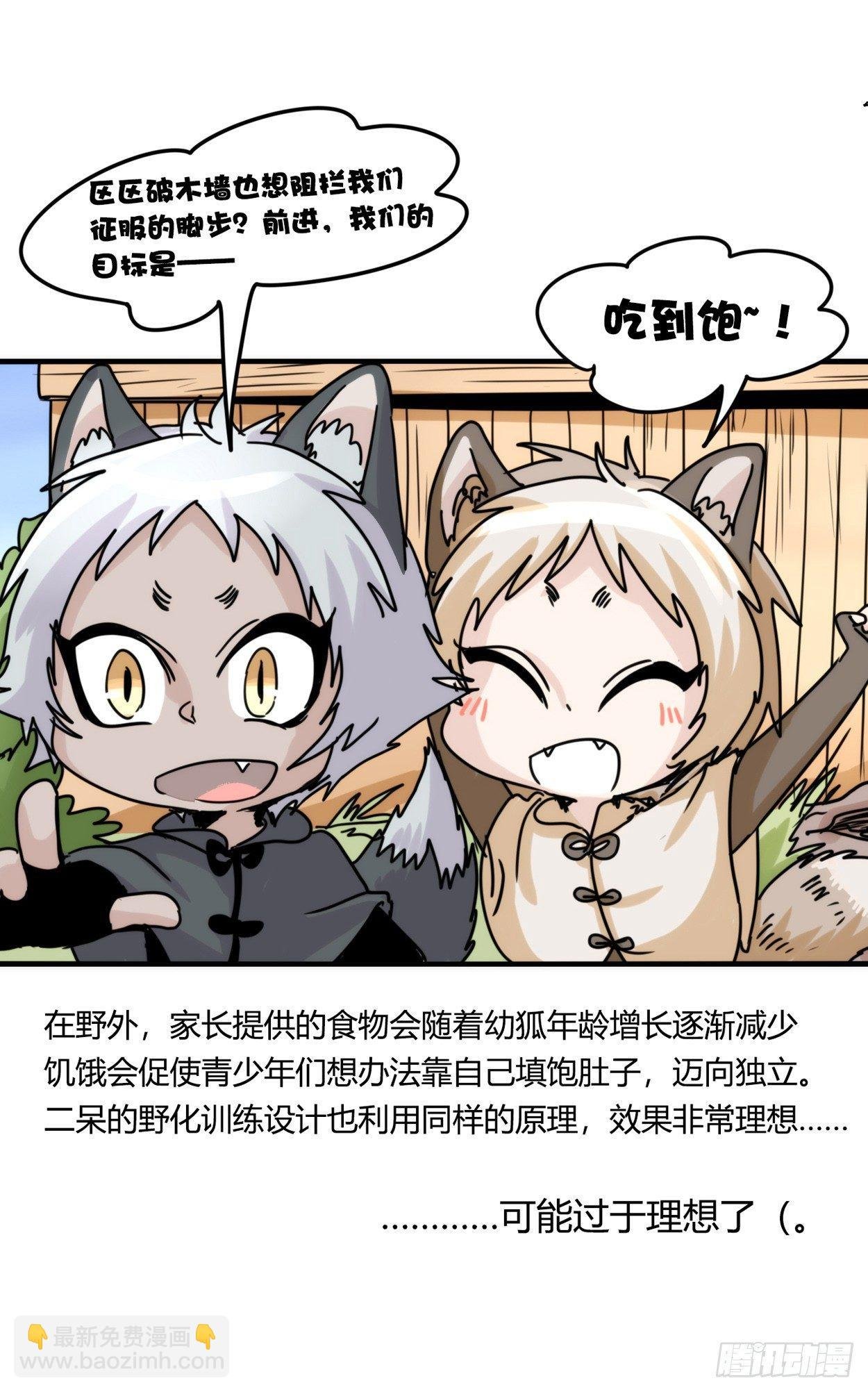 事业篇03：狐狐去哪儿了？