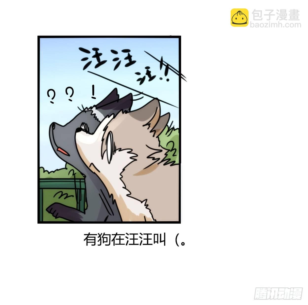 事业篇03：狐狐去哪儿了？