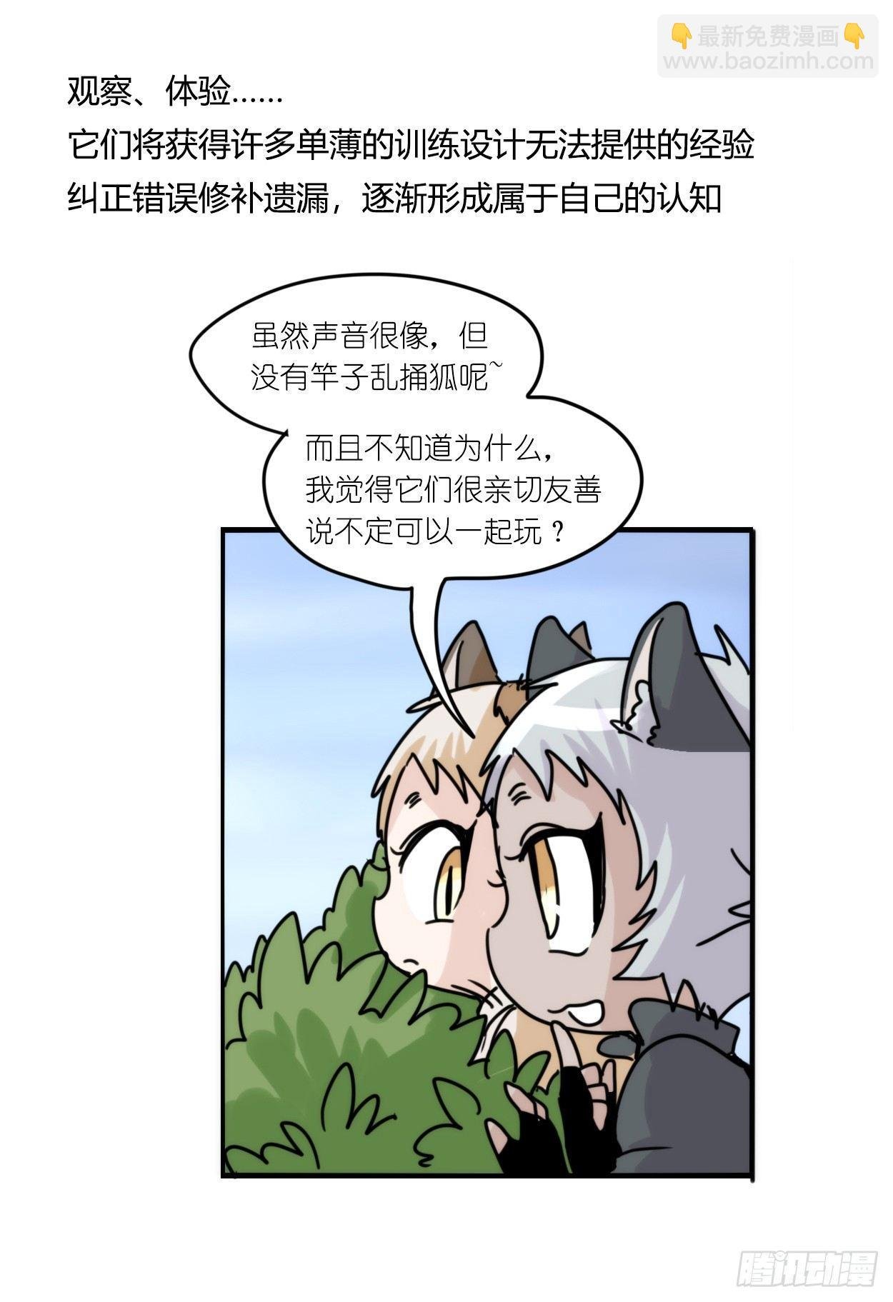 事业篇03：狐狐去哪儿了？