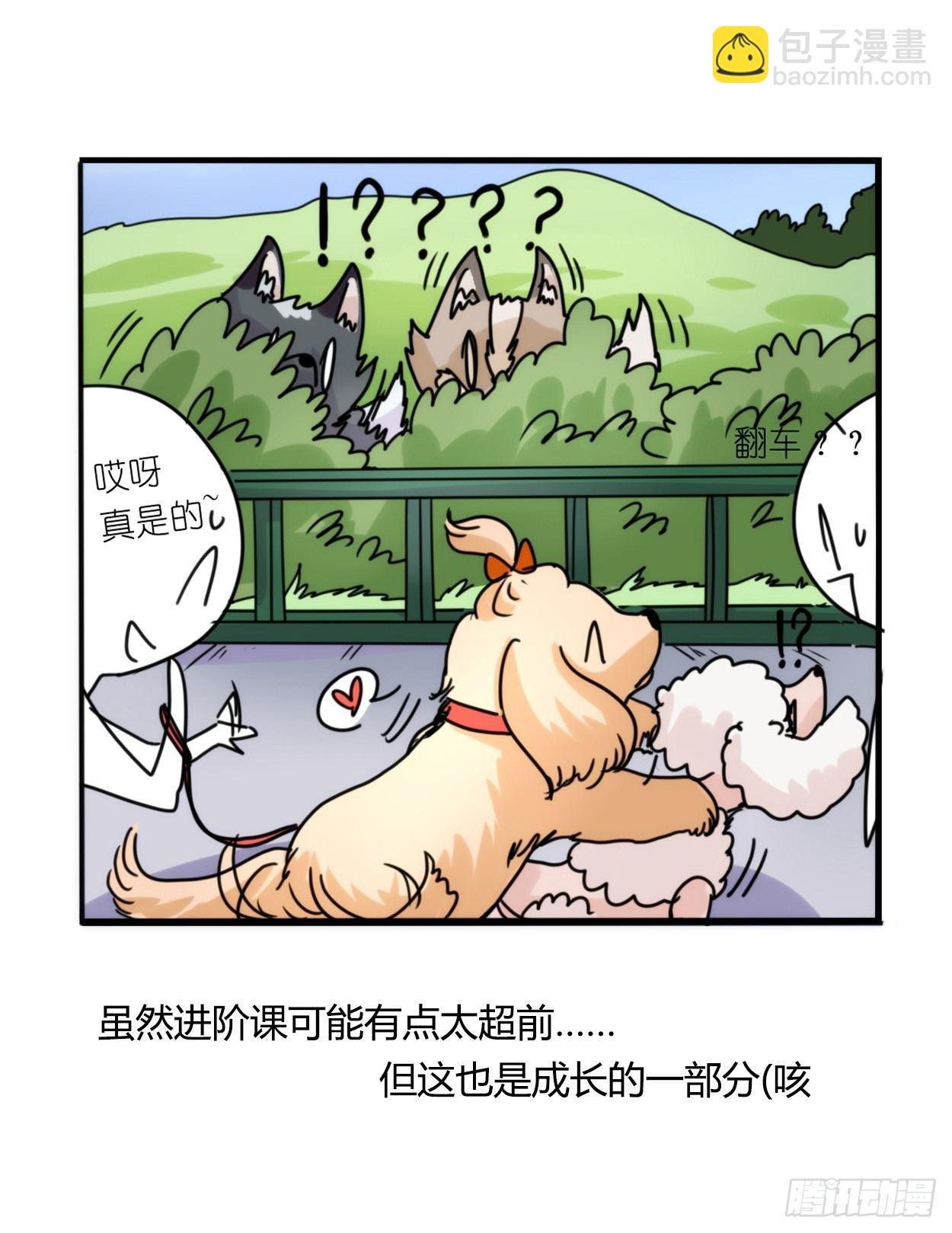 事业篇03：狐狐去哪儿了？