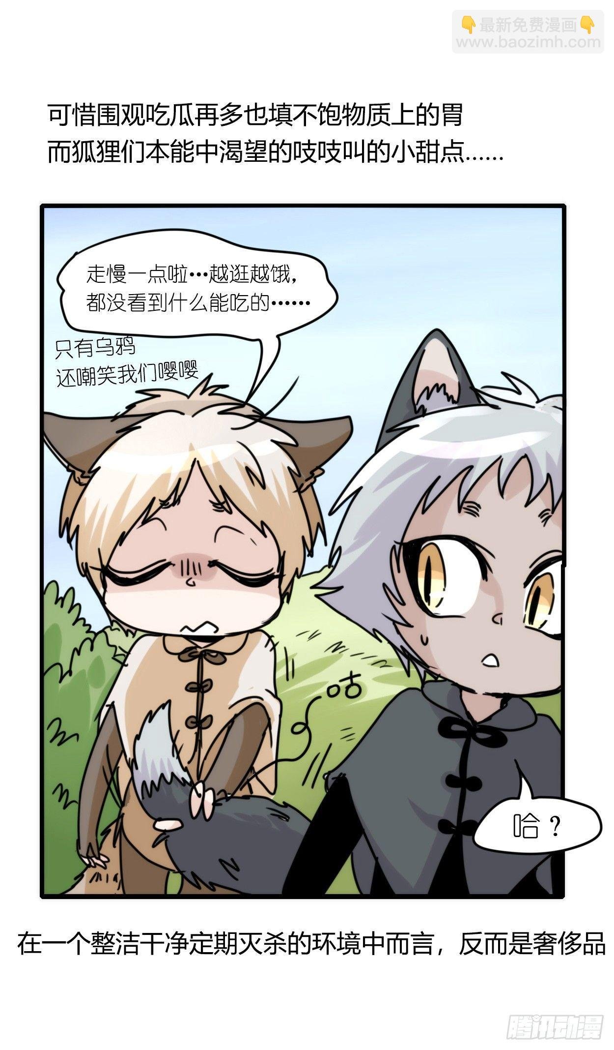 事业篇03：狐狐去哪儿了？