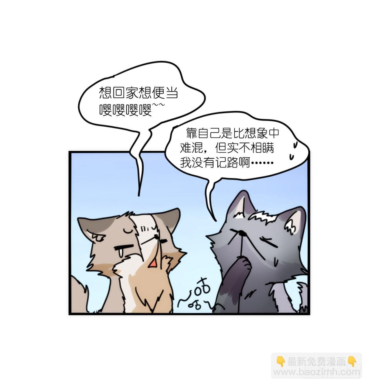 事业篇03：狐狐去哪儿了？