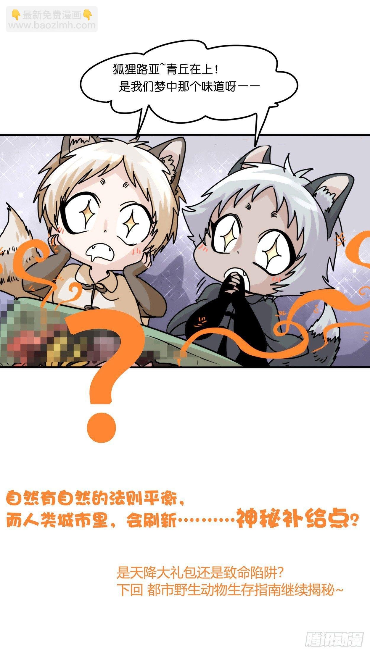 事业篇03：狐狐去哪儿了？