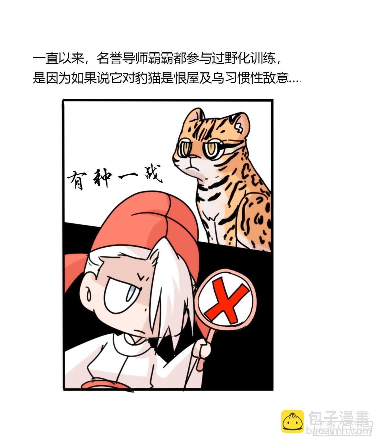 事业篇04：谁来拯救翻车直播
