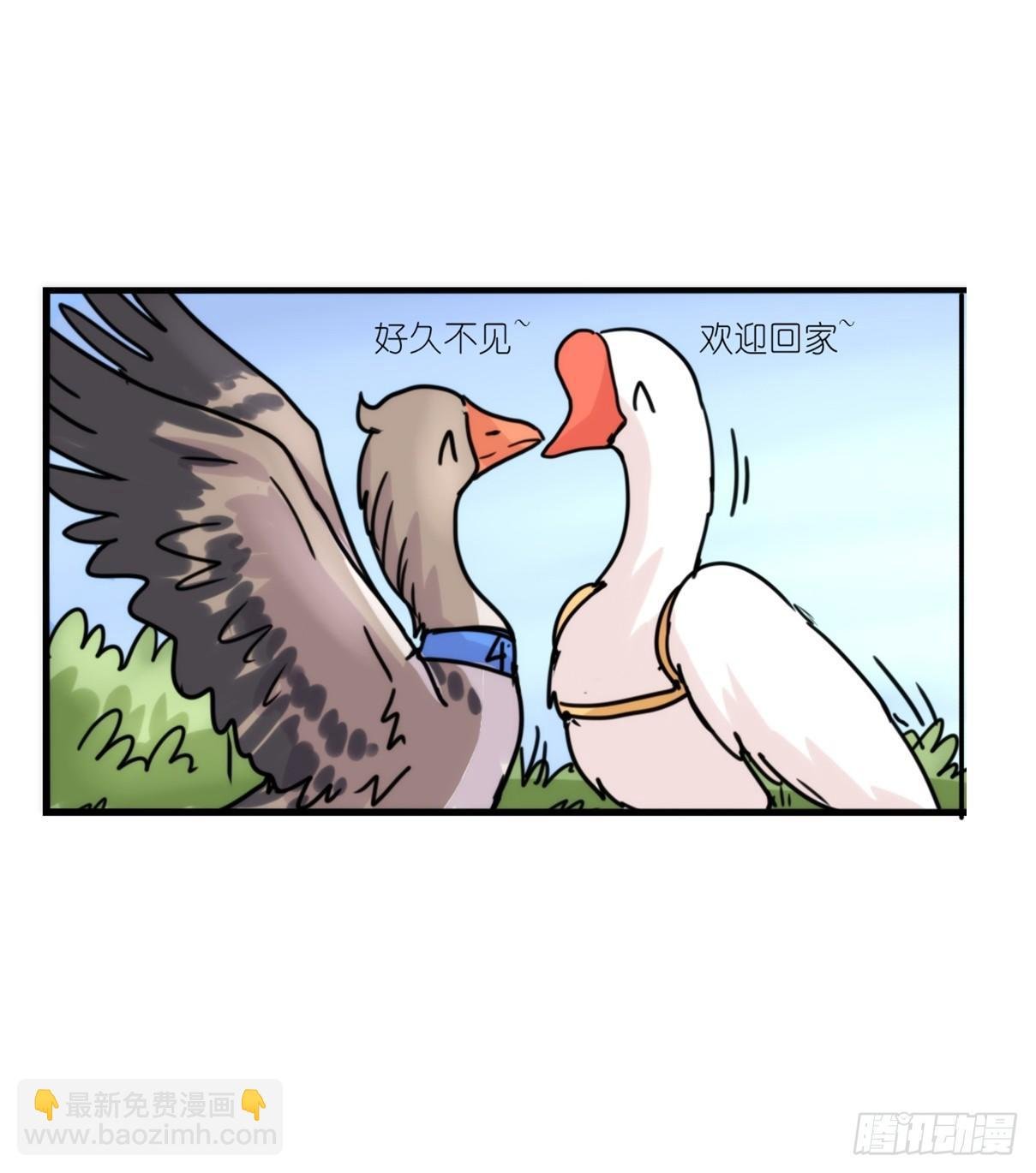 事业篇04：谁来拯救翻车直播