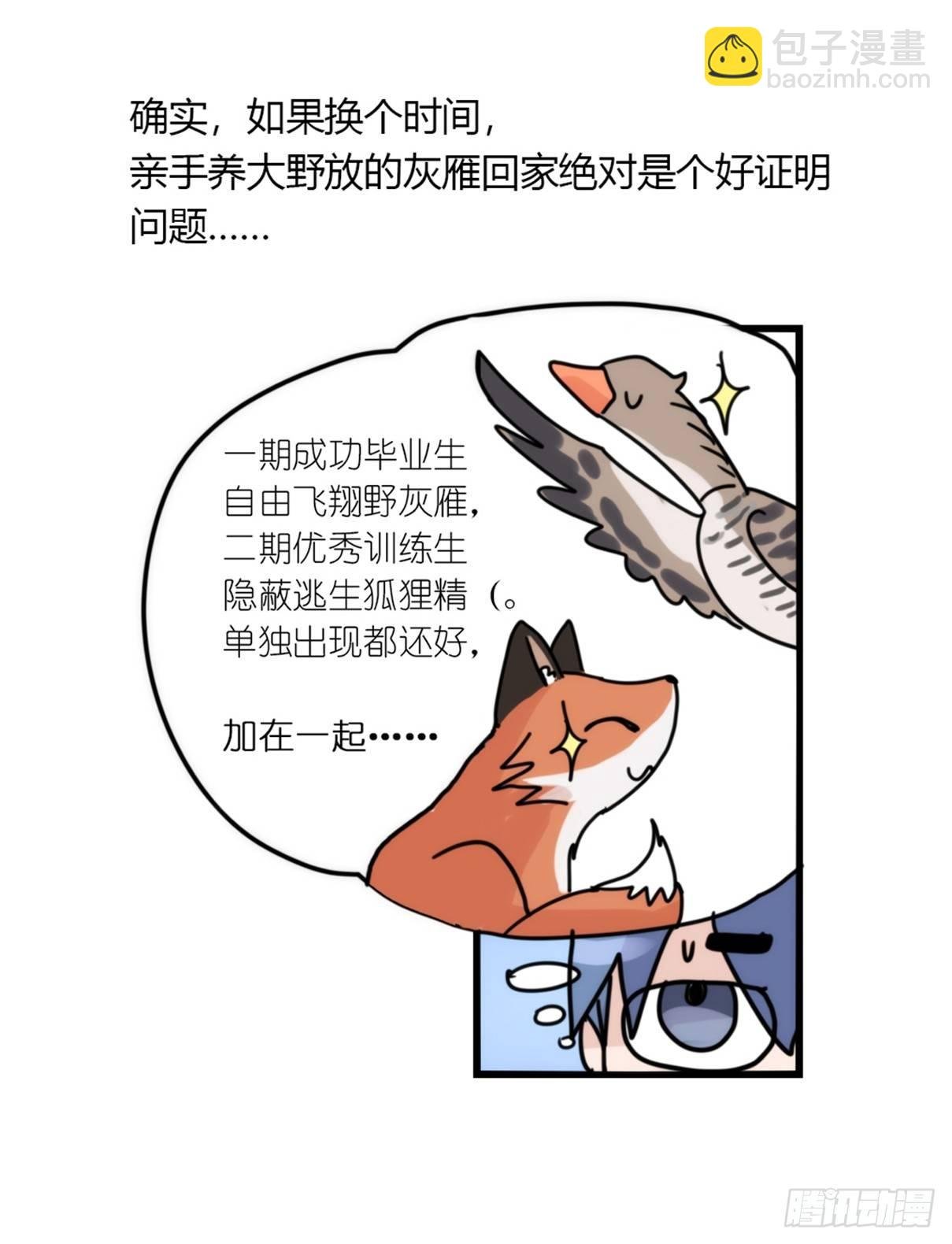 事业篇04：谁来拯救翻车直播