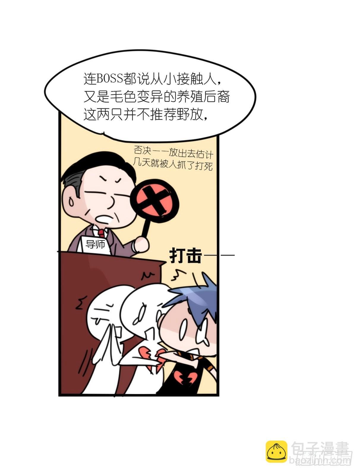事业篇05：绝地逆袭