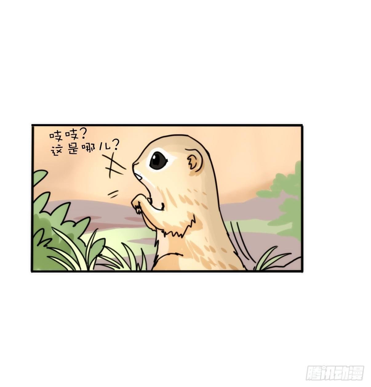 事业篇05：绝地逆袭