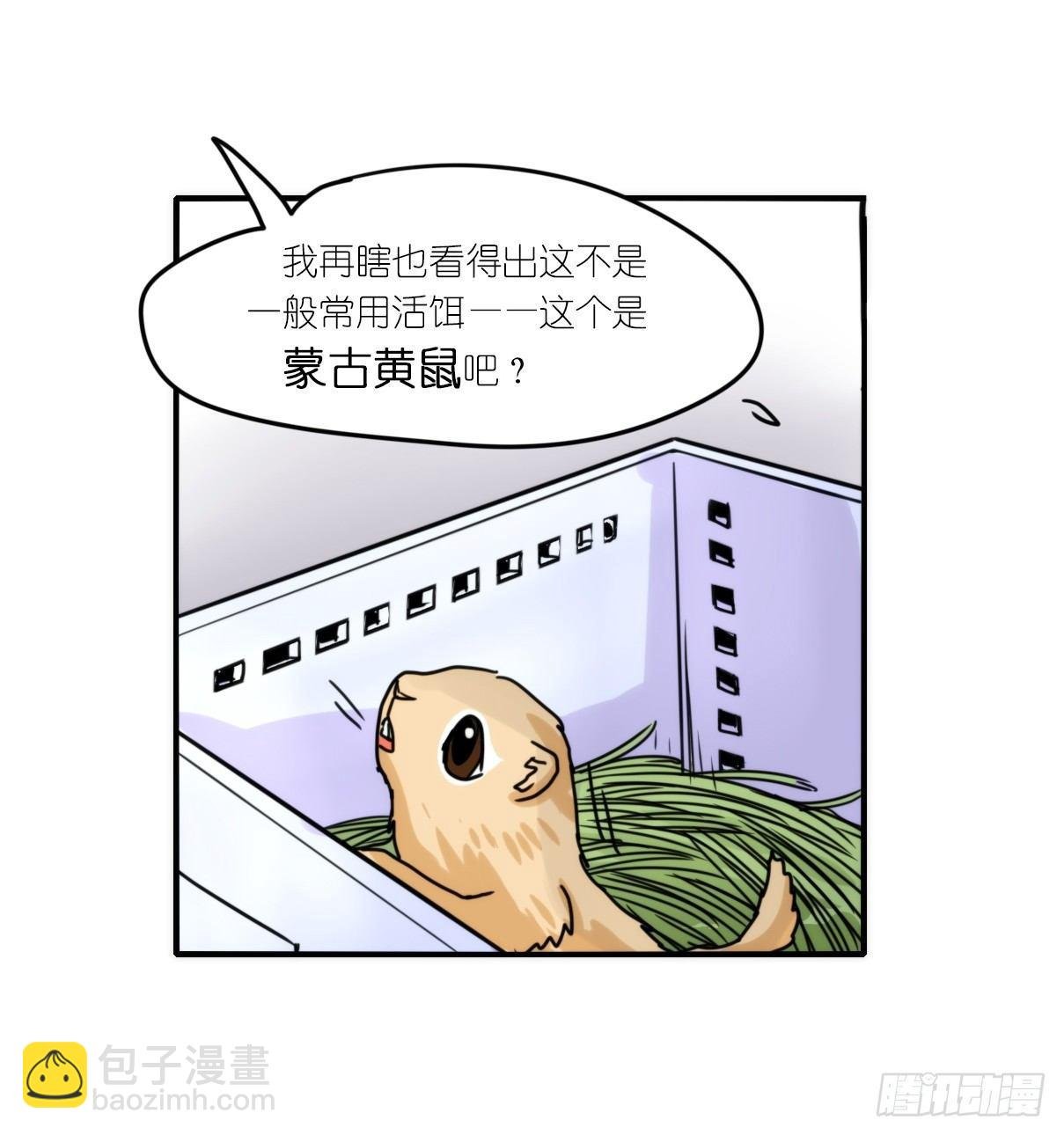 事业篇05：绝地逆袭