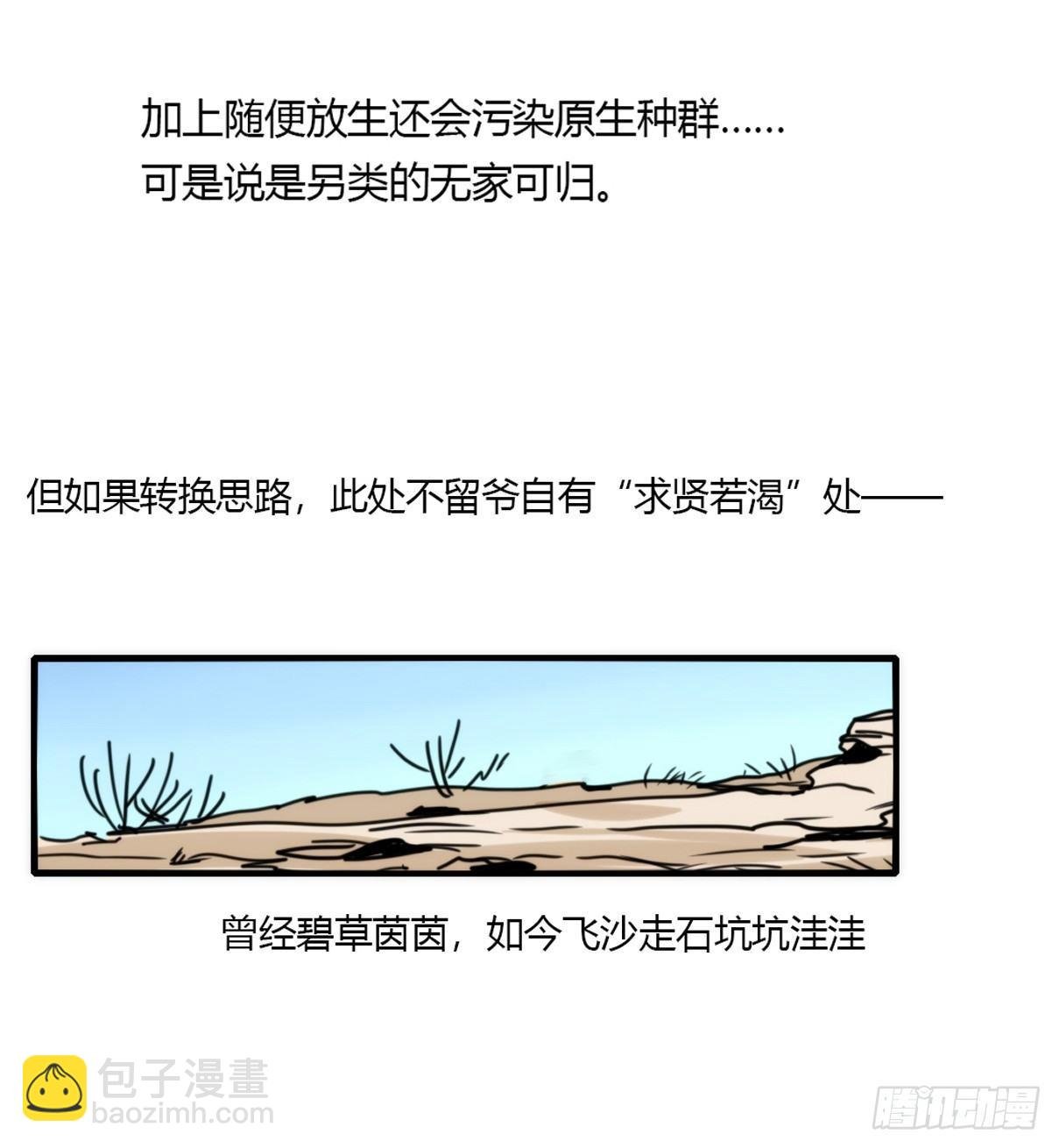 事业篇05：绝地逆袭