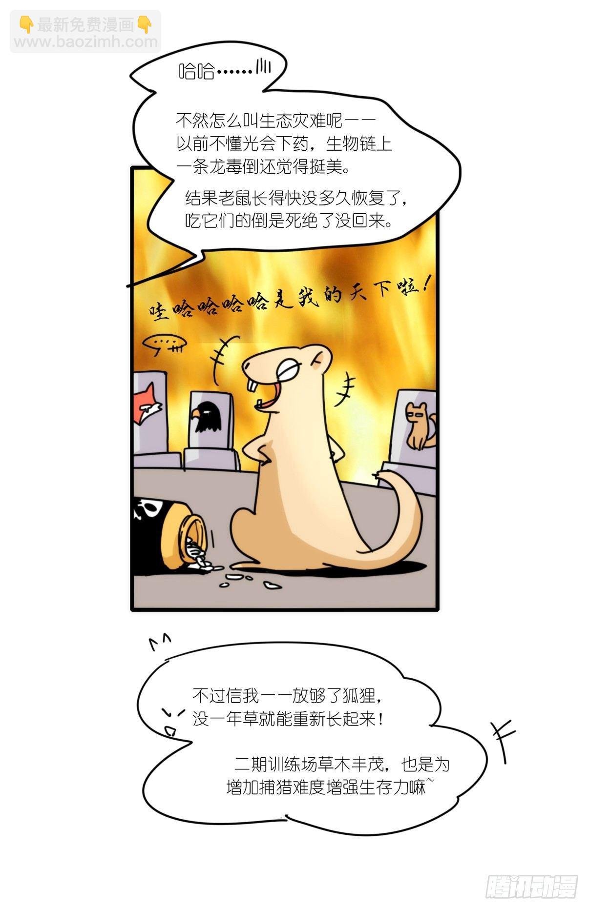 事业篇06：奇幻邂逅