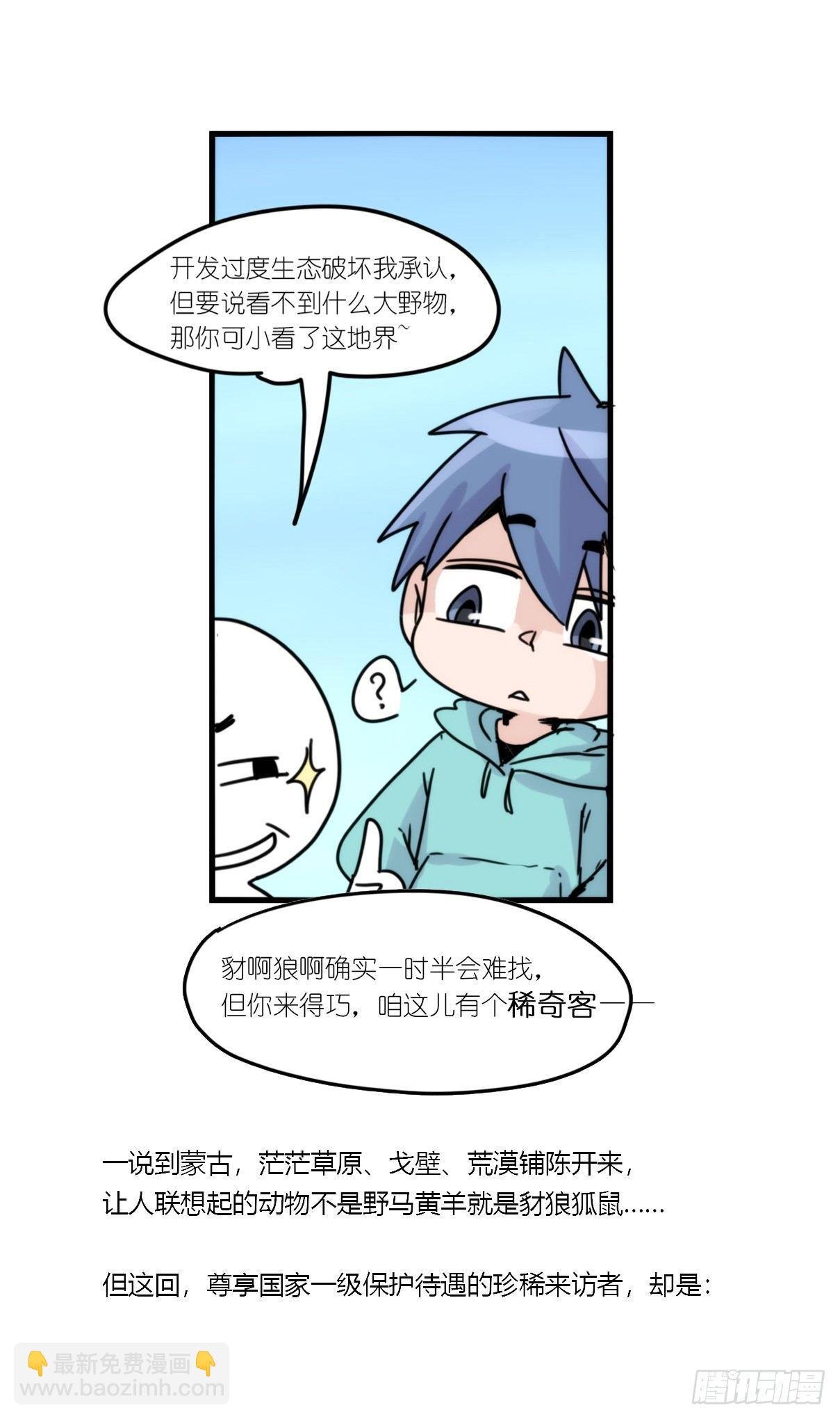 事业篇06：奇幻邂逅