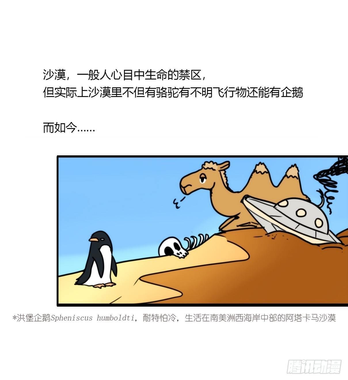 事业篇06：奇幻邂逅