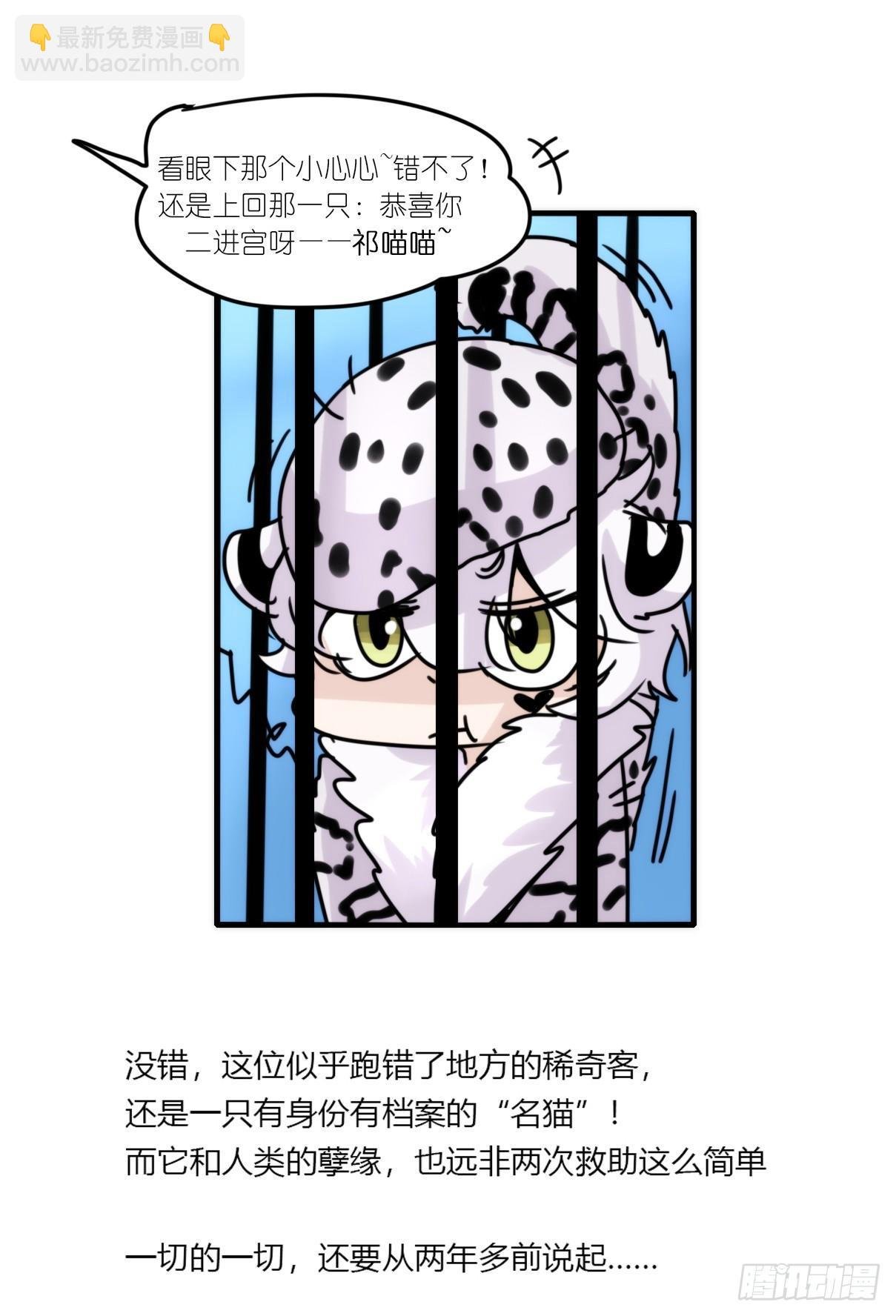 事业篇06：奇幻邂逅