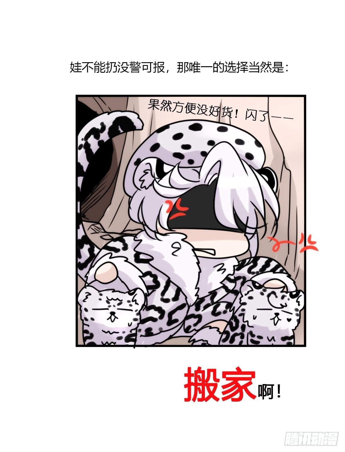 事业篇07：雪豹成为偶像！-1