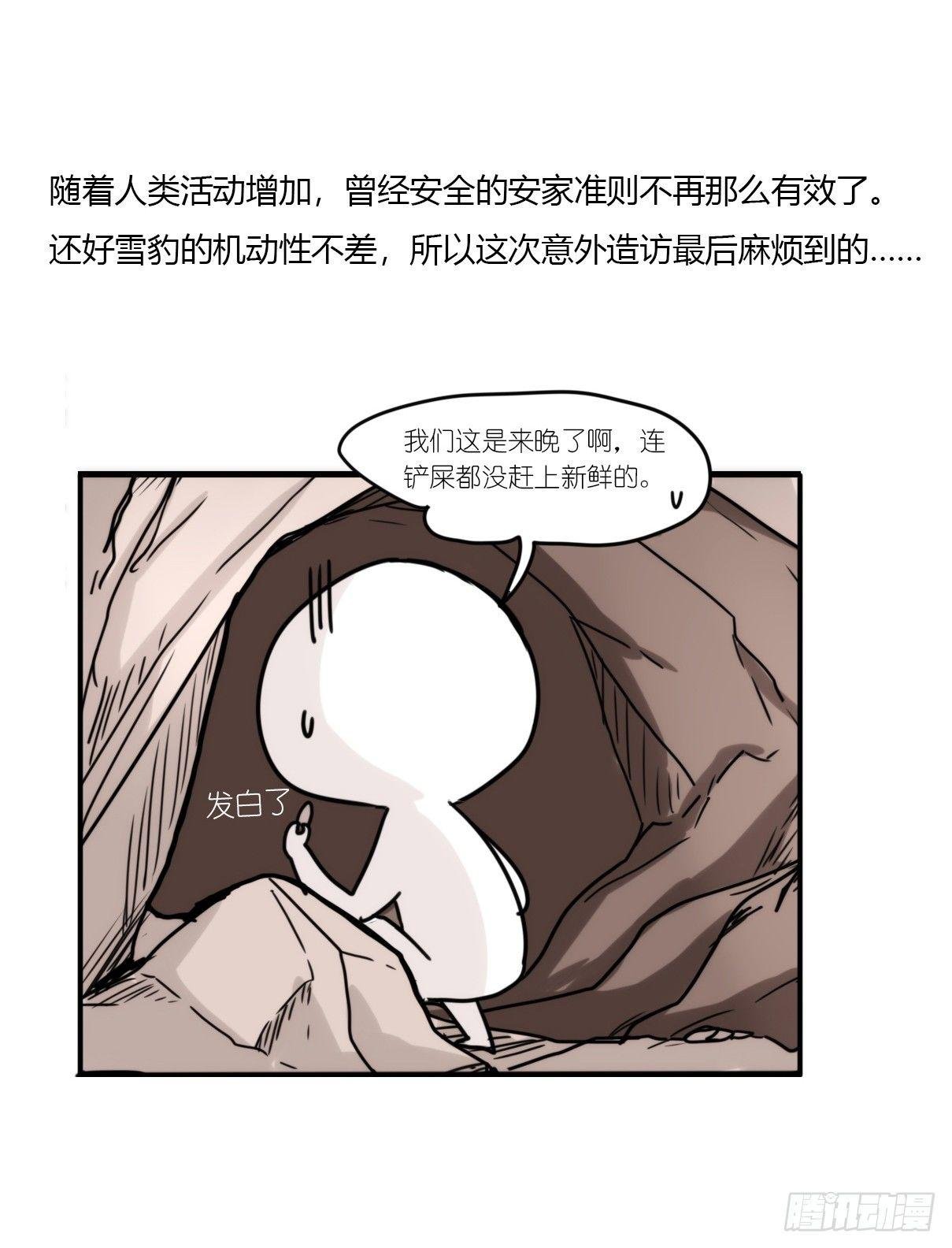 事业篇07：雪豹成为偶像！-1