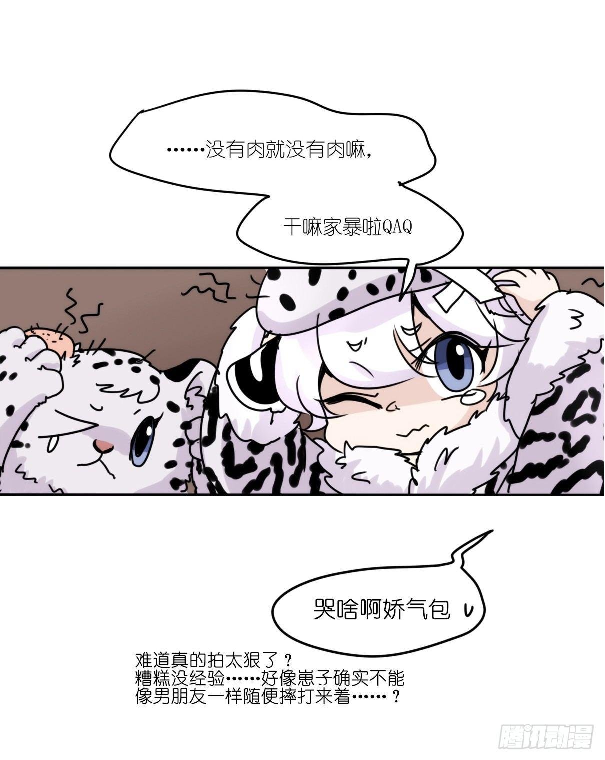 事业篇07：雪豹成为偶像！-1