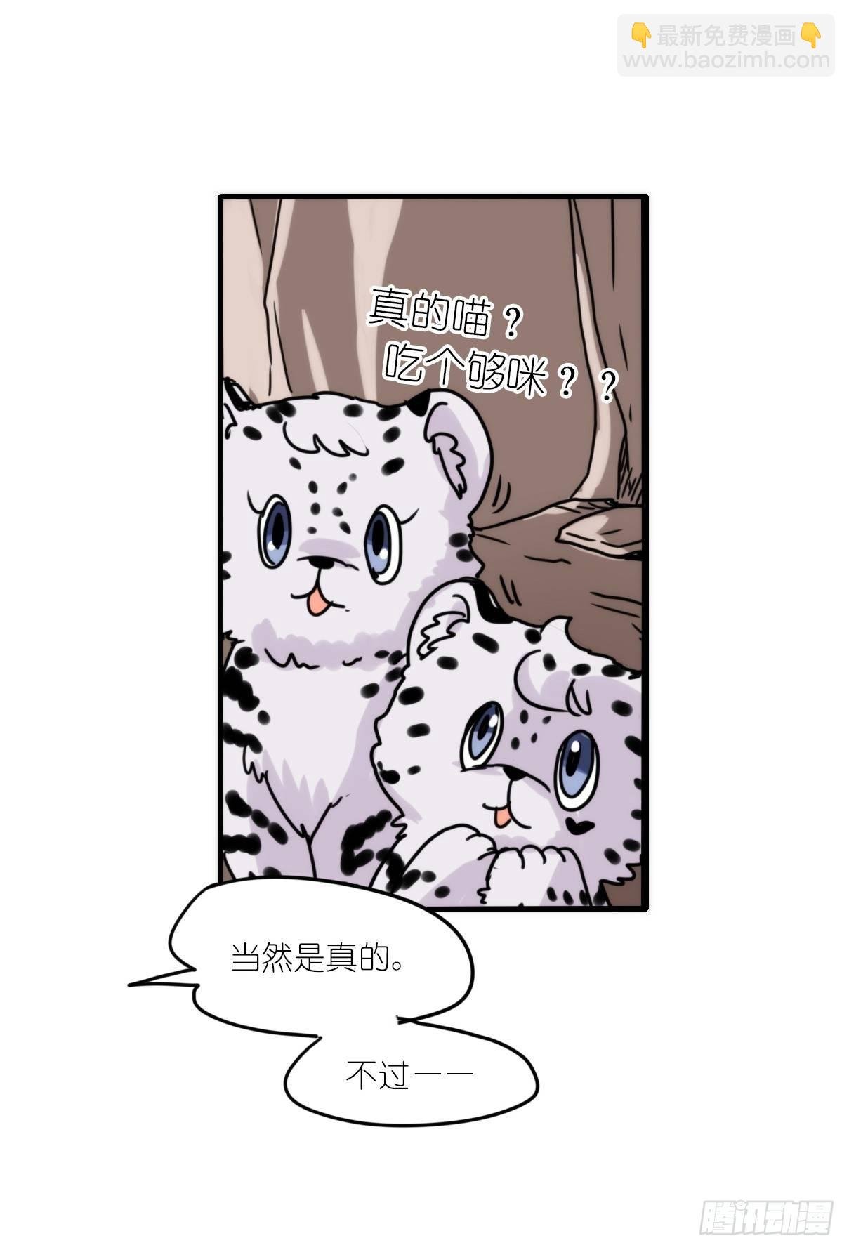 事业篇07：雪豹成为偶像！-1