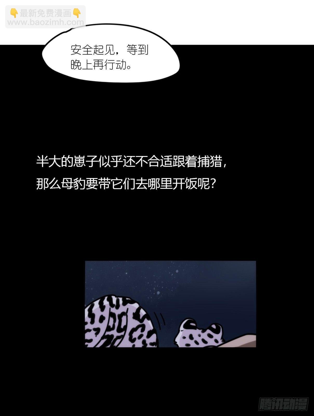 事业篇07：雪豹成为偶像！-1