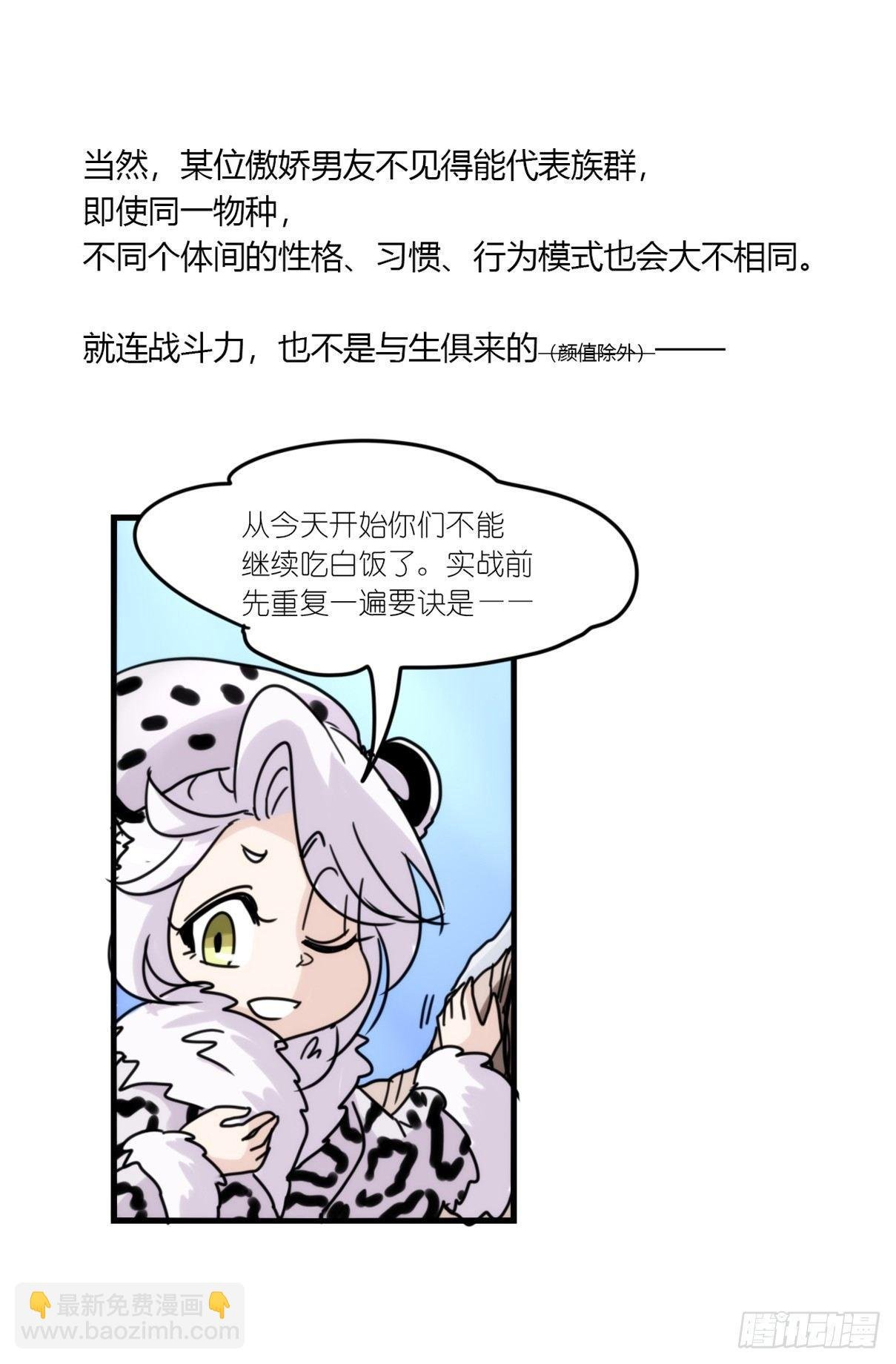 事业篇08：雪豹成为偶像！-2