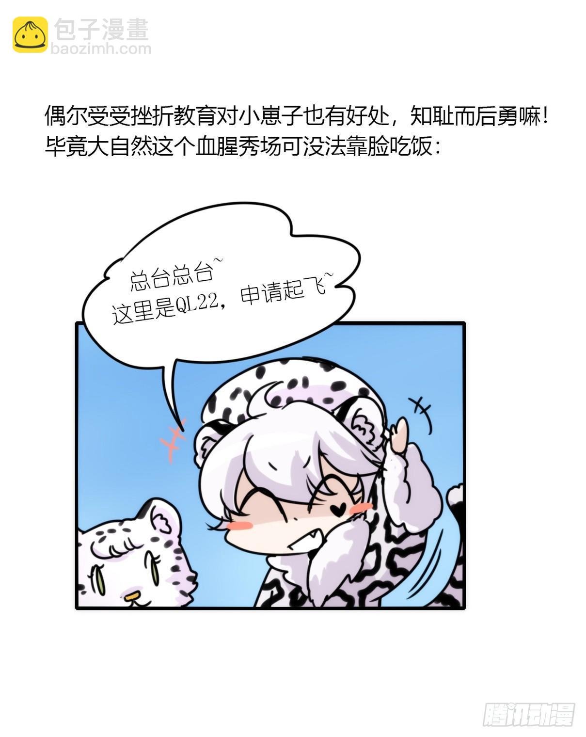 事业篇08：雪豹成为偶像！-2