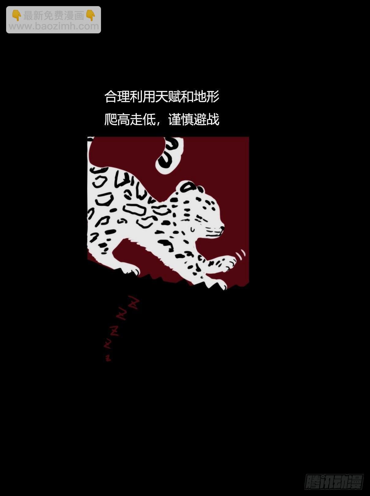 事业篇09：雪豹成为偶像！-3
