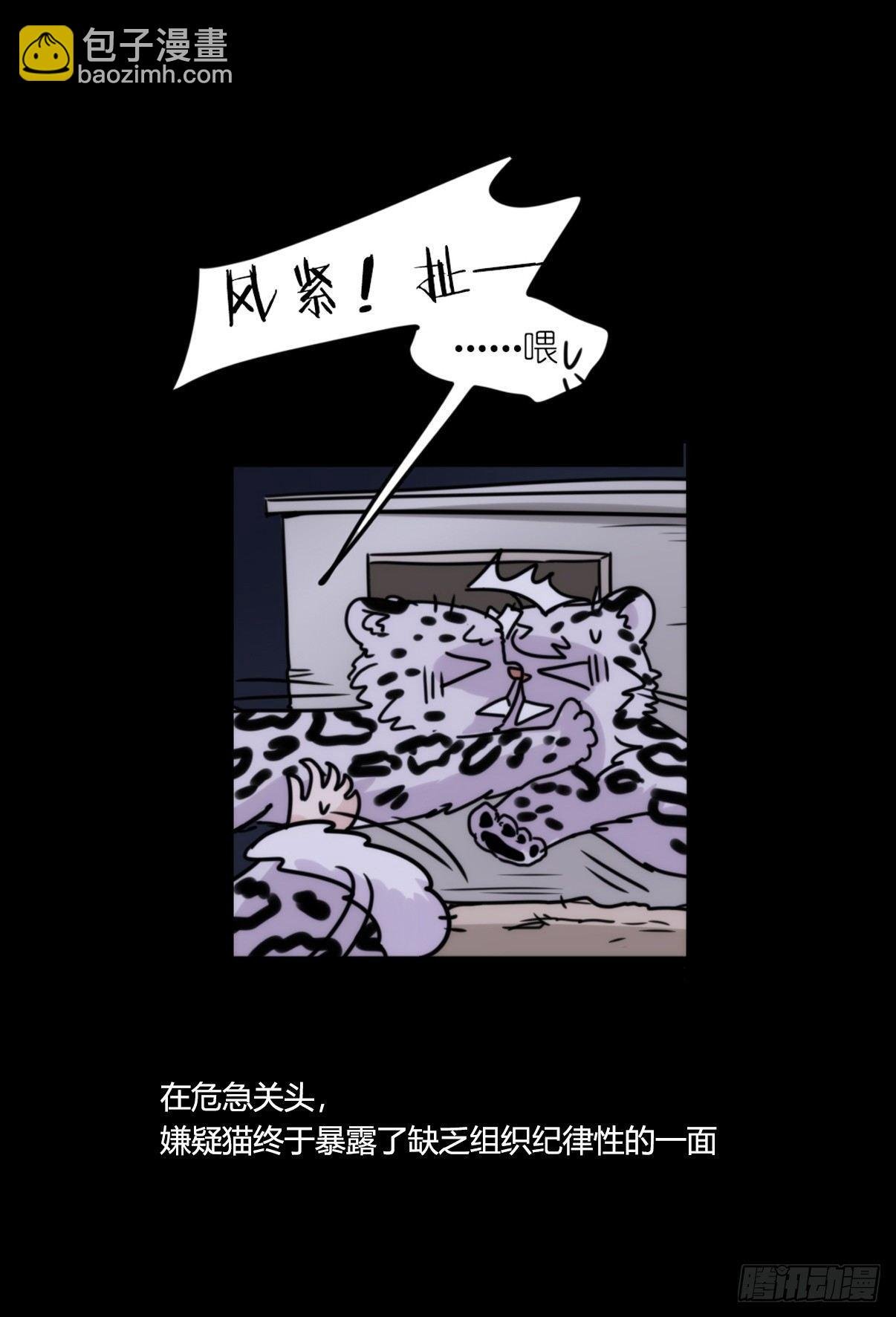 事业篇09：雪豹成为偶像！-3