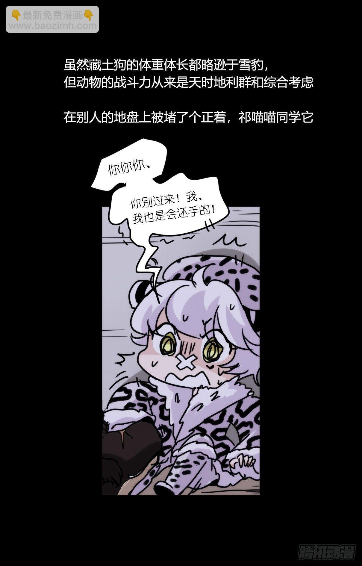 事业篇09：雪豹成为偶像！-3