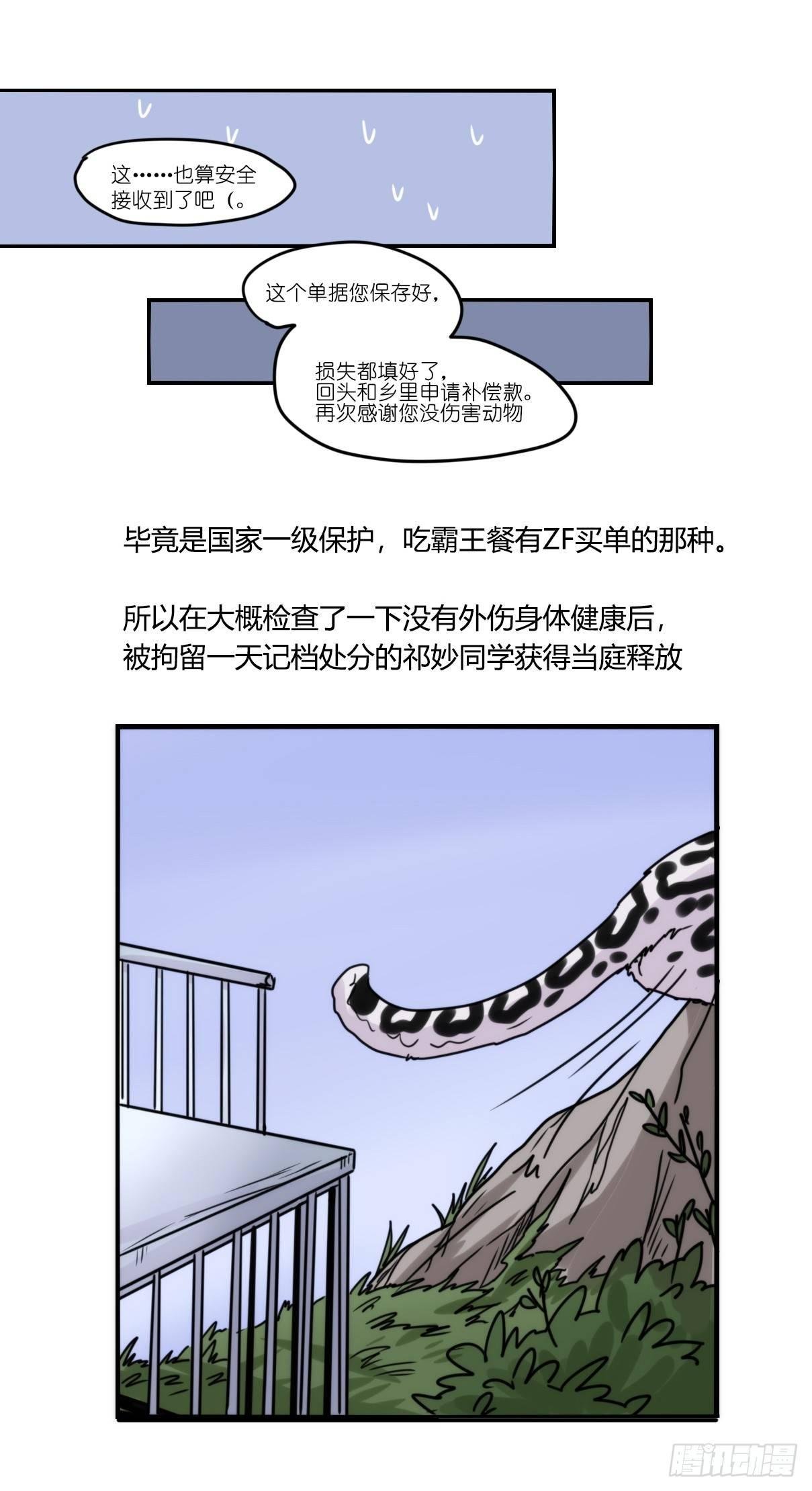 事业篇10：雪豹成为偶像！-4